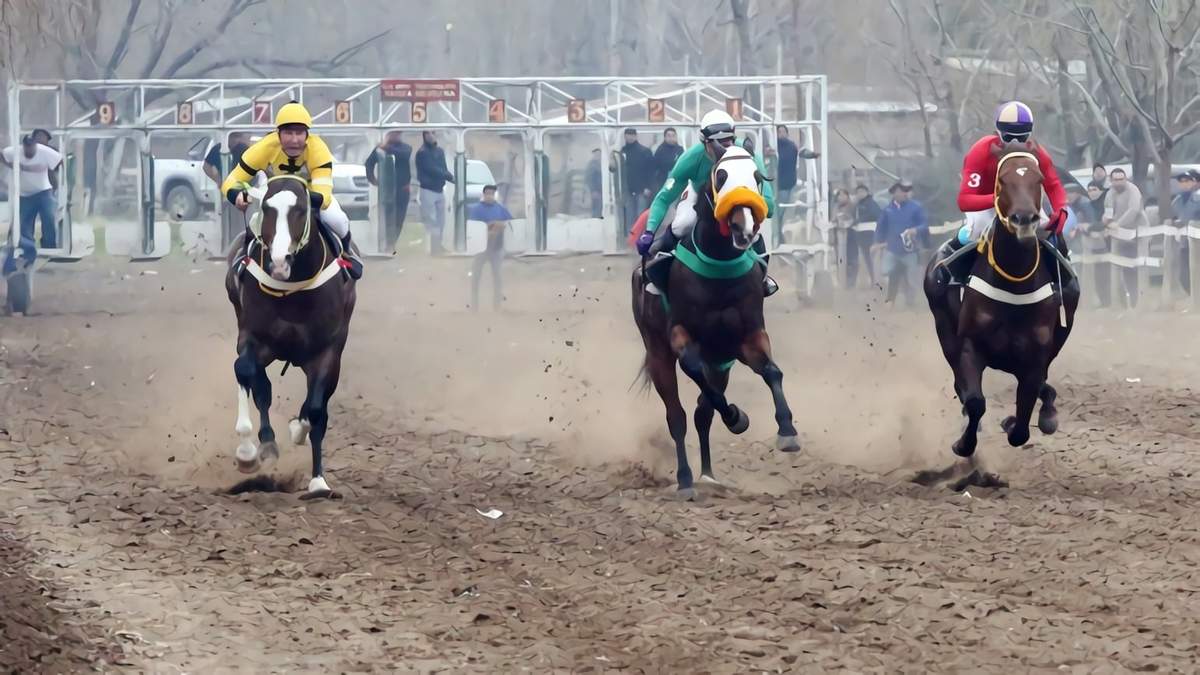 Carrera de caballos. Fuente: (Twitter)