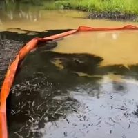 Ordeña en ducto de Pemex provoca derrame en el río Mezcalapa, entre Chiapas y Tabasco