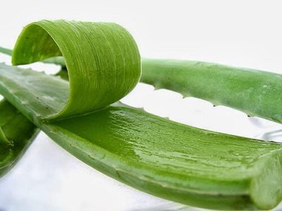 Por nada del mundo tires la piel del Aloe Vera, mirá cómo utilizarla y tener muchos beneficios sin gastar