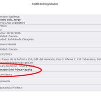 El nuevo titular de la Sedesol, favorecido con contratos federales por 137 mdp