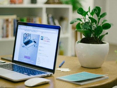 Las plantas tendencia en decoración y de pocos cuidados que son perfectas para tener dentro de una oficina
