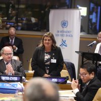 La ONU premia a Perú por etiquetado de advertencia en sus productos