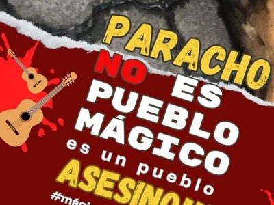 CEDH Michoacán investigará presunta matanza masiva de perros callejeros en Paracho