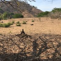 Denuncian que más de 500 jóvenes están recluidos por una organización criminal en Tierra Caliente
