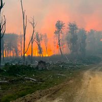 Los incendios en Tierra del Fuego ya destruyeron cerca de 12.000 hectáreas