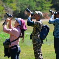 Turismo de naturaleza: recorridos para hacer trekking y avistaje de aves