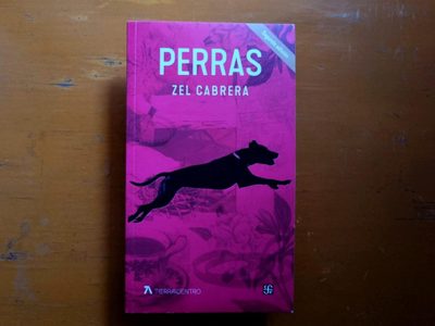 Zel Cabrera y el plano poético de Perras