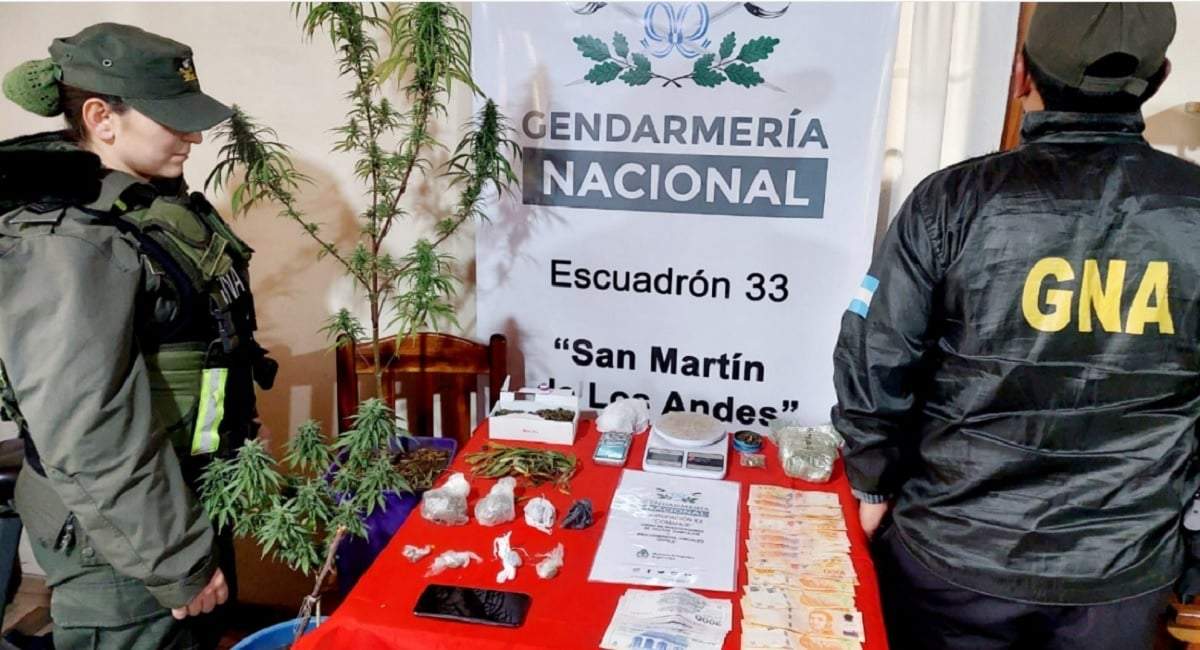Integrantes del Escuadrón 4 de Gendarmería interceptaron una encomienda con destino en San Martín de los Andes durante un operativo en la ruta 14. Fuente: (Ministerio de Seguridad)