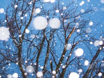 Tormentas, vientos y nevadas: estas son las alertas del SMN