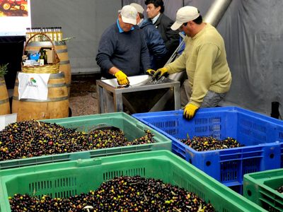Según la CAME, la producción de las pymes cayó un 0.3% en enero