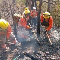 Hay en Chiapas 10 incendios activos, algunos en el Parque Nacional del Cañón del Sumidero