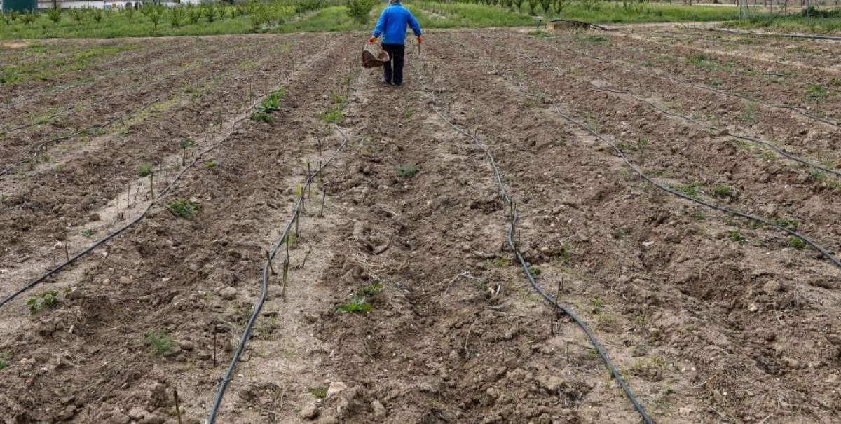 Permitirán trabajar los huertos familiares en España. Fuente:(Twitter)