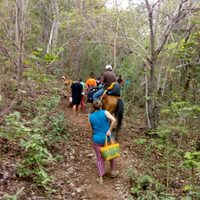 Miles de personas de 12 comunidades de Chiapas huyen de la violencia y el crimen organizado