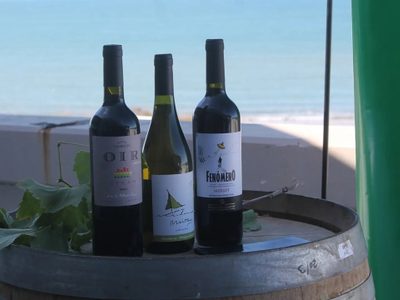 Programa de Cava Submarina en el Golfo San Matías: las bodegas rionegrinas criarán sus vinos en el mar