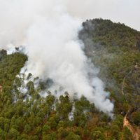Incendio arrasa con parajes del Carrizal y Tilia de Tapalpa, Jalisco; 260 personas fueron evacuadas