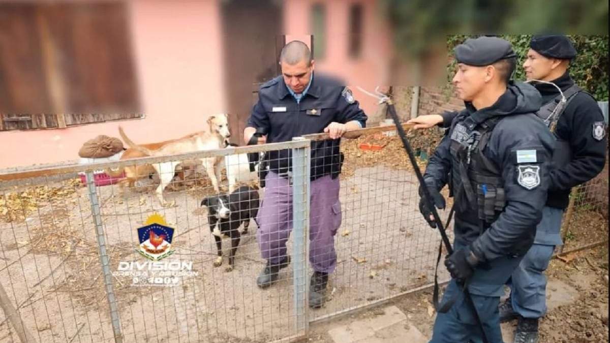 Rescate de los animales. Fuente: (Prensa Policial)