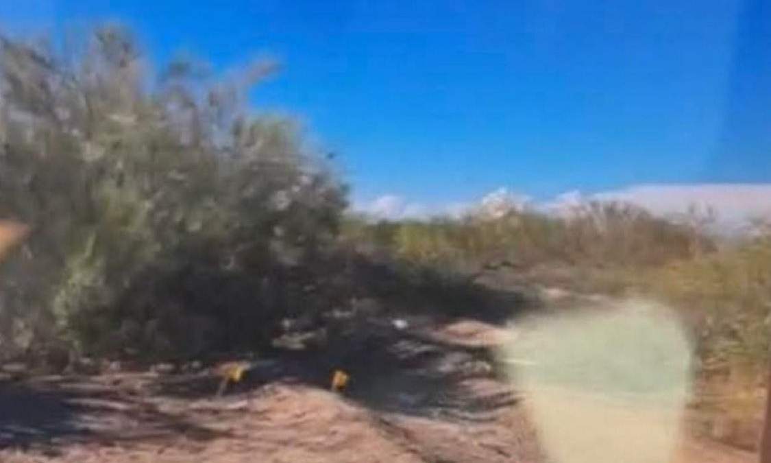 Ejecutan a tres niñas en Sonora; buscadoras encontraron los cuerpos baleados