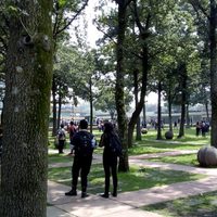 Gobierno capitalino indaga presencia de vehículos para trasladar a presuntos porros a CU