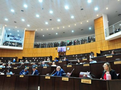 La legislatura de Neuquén debatirá dos proyectos para regular la contratación de publicidad oficial
