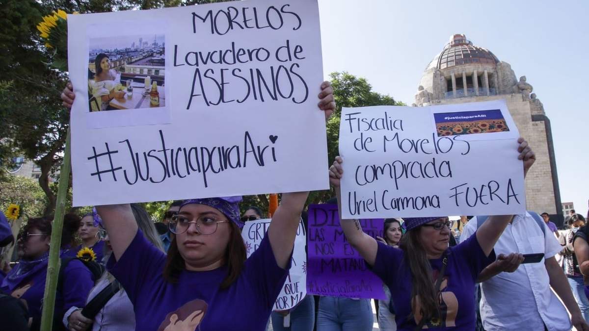 Justicia para Ariadna, la demanda