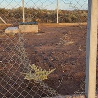 Vandalizaron otra vez una estación de monitoreo sísmico en Neuquén