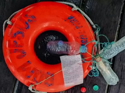 Insólito rescate en Brasil: fueron encontrados gracias a una nota en una botella