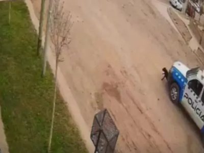 Abren causa judicial y administrativa por Gorda, la perrita pitbull atropellada por un patrullero en Neuquén