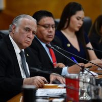 Torruco defiende ante Diputados el plan de una aerolínea de la Sedena