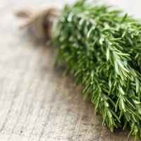 La planta que pocos conocen que es comestible y es un tesoro por sus propiedades medicinales