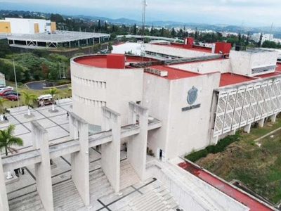 Cae 'El Compa Playa” del CJNG, presunto asesino de diputado en Veracruz