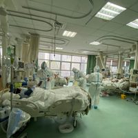 ¡Sin control! Ascienden a 56 los muertos y más de 2.000 infectados por el coronavirus en China