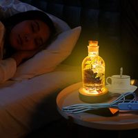 No tires las botellas de vidrio y usalas para hacer estas lámparas originales y de bajo costo