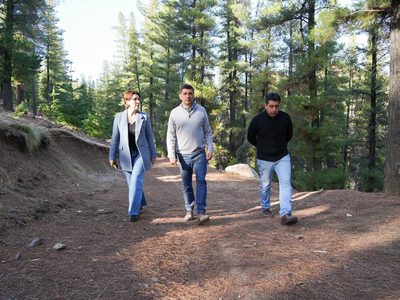 Ciudades verdes: entregarán 25 mil árboles a municipios de toda la provincia para forestación