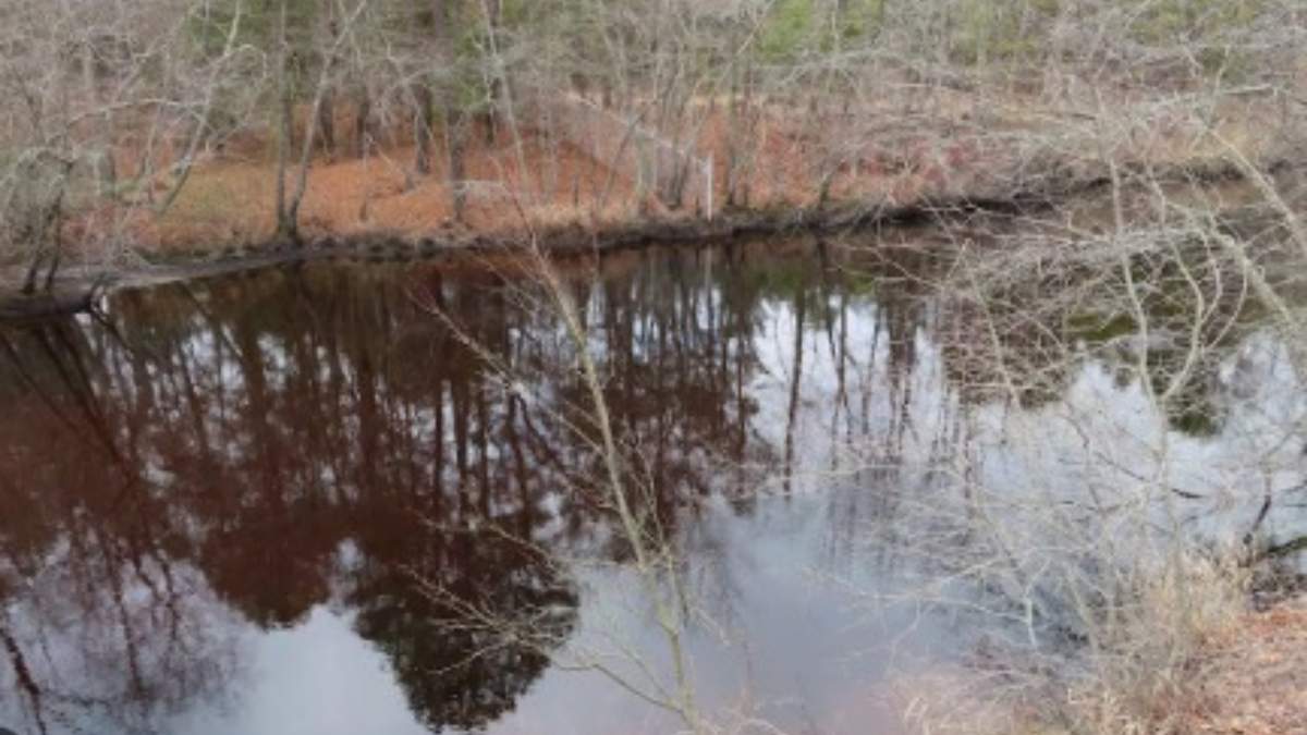 Daños de vertido tóxico en Nueva Jersey