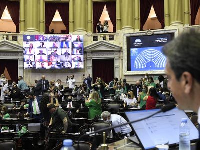 Plan de los 1000 días: de qué va este proyecto que también fue aprobado por Diputados