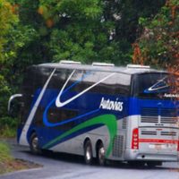 Asaltan Central Camionera y hieren a cajero en Michoacán