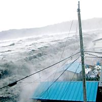 La Patagonia en peligro: advierten sobre la probabilidad de tsunamis en las costas de dos provincias