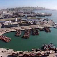 Crisis: la industria pesquera sufre su peor caída desde 2010