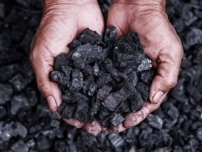 La razón por la que deberías utilizar carbón para que tus suculentas crezcan sanas y hermosas