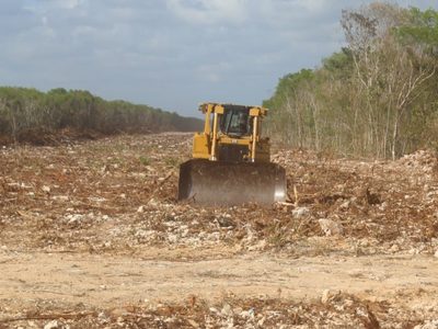 Revés al Tren Maya: juez ordena la suspensión definitiva de las obras en el polémico tramo 5