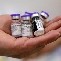 En medio de la controversia por las vacunas Sputnik V, las dosis de Pfizer tienen fecha de llegada