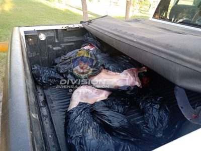 Procedimiento policial logró detectar la circulación de animales faenados en Zapala