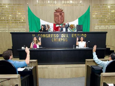 Congreso de Chiapas endurece sanciones contra el maltrato animal