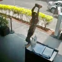 Atacan a un joven con un tabique en el interior de un Taquearte (Video)