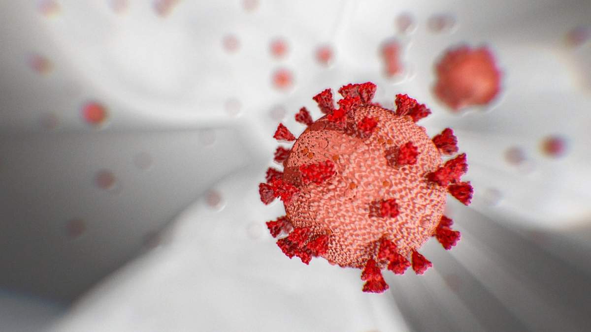 Coronavirus. Fuente: (Twitter)