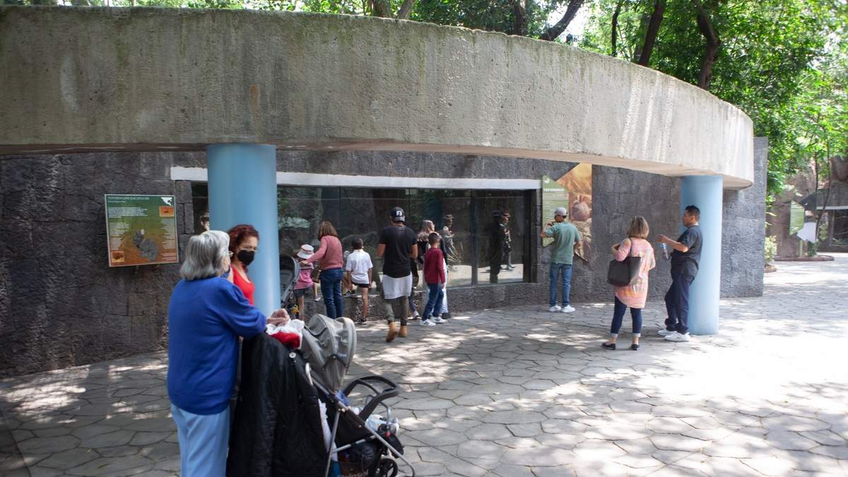 Familias pasean en la capital del país