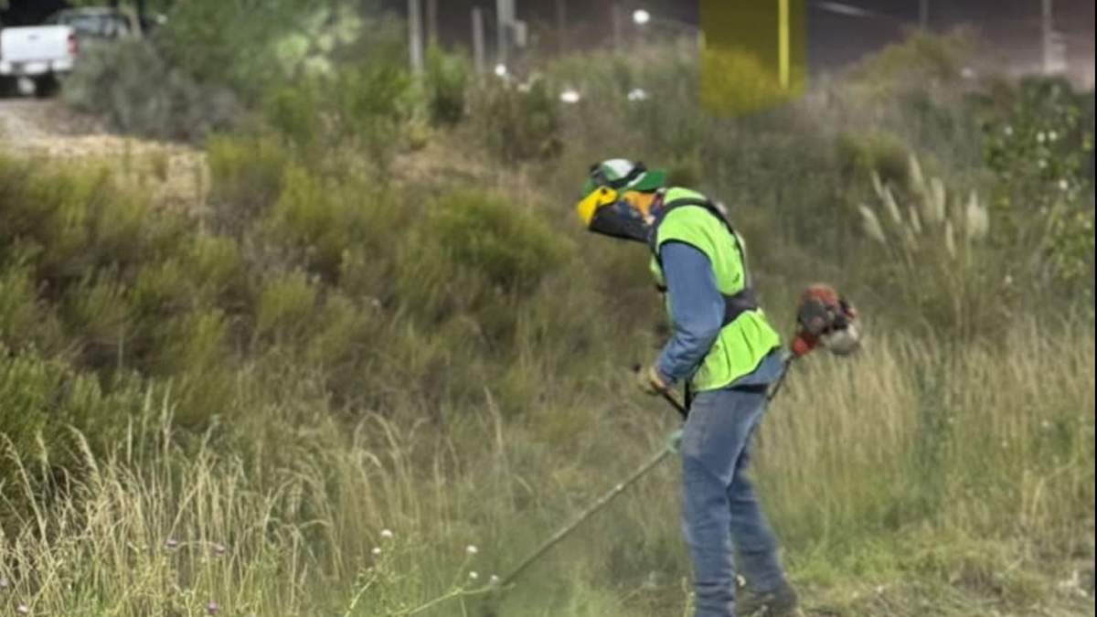 Se realizará una limpieza también en la Av. Mosconi. Fuente: (Prensa Municipalidad).