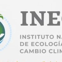 Tras evaluar 100 días de López Obrador, Greenpeace augura 'desastre climático”