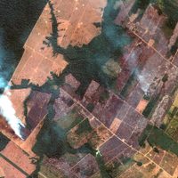 Obispos critican "mentalidad extractivista" ante incendios en el Amazonas
