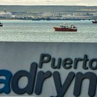 Más que solo avistaje de ballenas: las actividades que podés hacer en Puerto Madryn